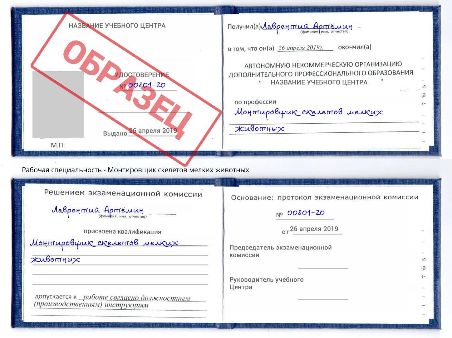 Монтировщик скелетов мелких животных Ижевск